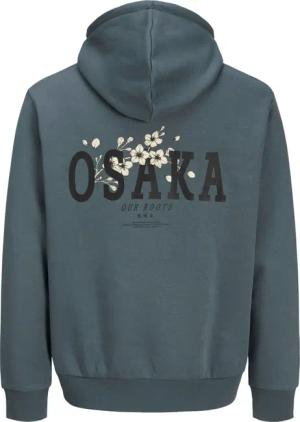 Jack & Jones Kapuzenpullover KENJI Hoodie