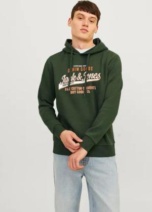 Jack & Jones Kapuzensweatshirt JJELOGO SWEAT HOOD 2 COL 24/25 NOOS mit Logo Print