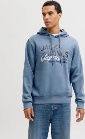 Jack & Jones Kapuzensweatshirt JJELOGO SWEAT HOOD 2 COL 25/26 NOOS mit stylischem Print