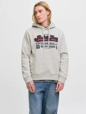 Jack & Jones Kapuzensweatshirt JJELOGO SWEAT HOOD 2 COL 25/26 NOOS mit stylischem Print