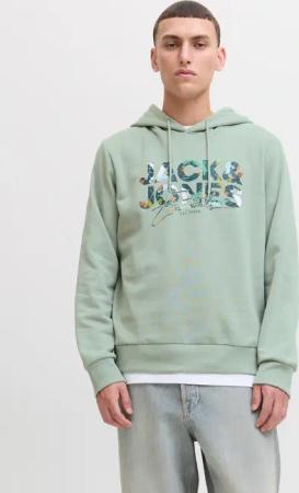 Jack & Jones Kapuzensweatshirt "JJGEPLAS SWEAT HOOD"
