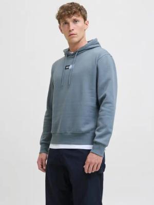 Jack & Jones Kapuzensweatshirt JJPAN SWEAT HOOD