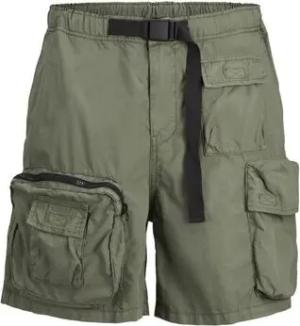 Jack & Jones  Shorts 12255608 BILL-LAUREL WREATH