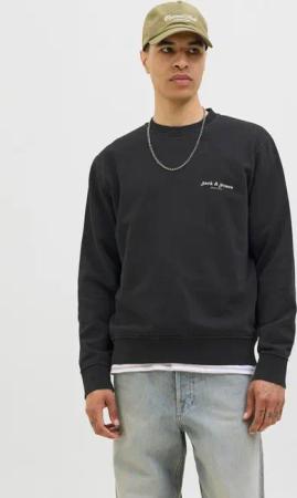 Jack & Jones Sweatshirt JJEDOVER PRINT SWEAT CREW NECK