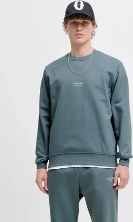 Jack & Jones Sweatshirt "JJESOHO SWEAT CREW NECK NOOS", mit stylischem Print