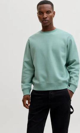 Jack & Jones Sweatshirt JJESTAR BASIC SWEAT CREW NECK NOOS mit Rundhalsausschnitt