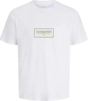 Jack & Jones  T-Shirt 12291364-BGW