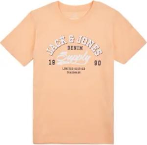 Jack & Jones  T-Shirt für Kinder JJELOGO TEE SS NECK 2 COL 23/24 NOOS JNR