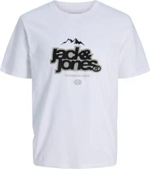 Jack & Jones T-Shirt JCOFLARE FRONT TEE SS CREW NECK FST
