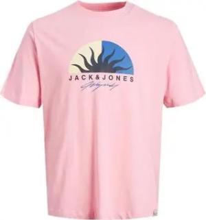 Jack & Jones  T-Shirts & Poloshirts 12255038