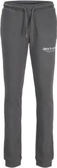 Jack & Jones  Trainingsanzüge 12267002