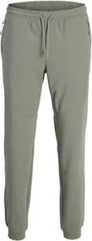 Jack & Jones  Trainingsanzüge Cloud Sweat Pants