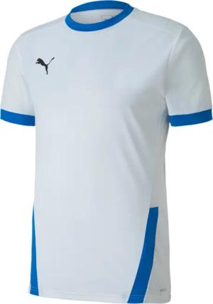 Jersey Puma Team Goal 23