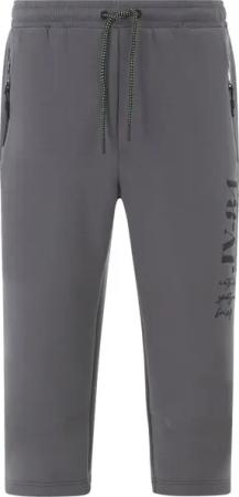 Jogginghose ALFVALD grau