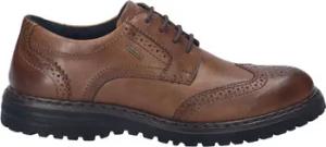 Josef Seibel  Halbschuhe Erroll 59, cognac