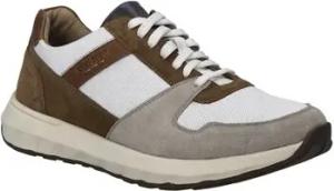 Josef Seibel  Halbschuhe Schnuerschuhe CAMERON 10 33610TE16/094
