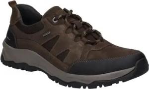 Josef Seibel  Halbschuhe Schnuerschuhe LEROY 50 14450TE21/301