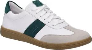 Josef Seibel  Halbschuhe Schnuerschuhe Sneaker 64401918/084