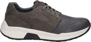 Josef Seibel  Sneaker Mitchell 02, granit