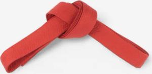 Kampfsportgürtel 2,80 m rot