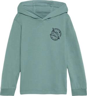 Kapuzen-Shirt mit Rückenprint