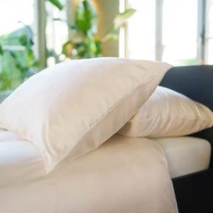 Kayori Daiki kissenbezug - 2 Stück