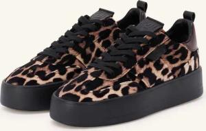 KENNEL & SCHMENGER Sneaker BANG