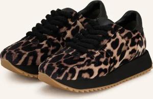 KENNEL & SCHMENGER Sneaker FLASH