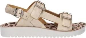 Kickers  Sandalen 894881-30 ODYSUMMER