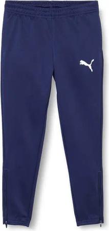 Kinderhosen Puma Teamrise poly training