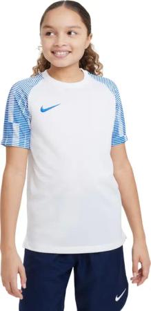 Kindertrikot Nike Dri-FIT Academy