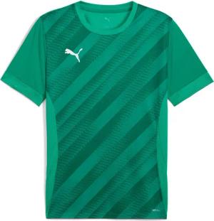 Kindertrikot Puma teamGoal Graphic