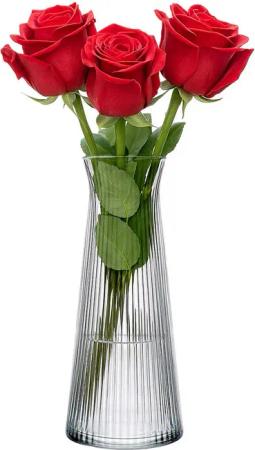 KONZEPT Tischvase Glasvasen 25cm Hoch, Glas Blumenvasen modern, Vasen rillen (1 St), 1/2er Set, Deco für Pampasgras, Tulpen und Trockenblumen