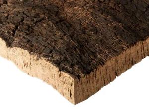 Kork-Deko.de Terrariendeko Terrariendeko hochwertige Rindenstücke zweiten Schälung der Korkeiche