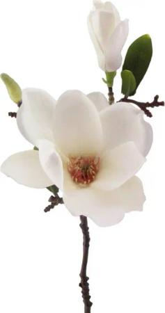 Kunstblume Kunstblume MAGNOLIE 37cm. Mit Magnolienblüte und Knospe., Gasper, Höhe 37.00 cm