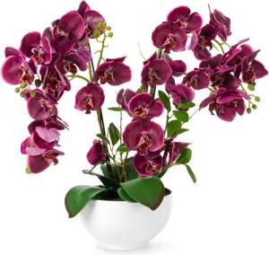 Kunstorchidee PASCH® XXL Orchidee künstlich wie echt (56cm) in Hochglanz-Keramiktopf Orchidee, PASCH