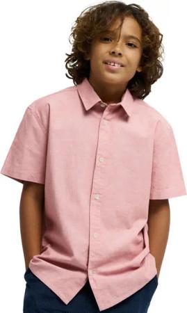 Kurzärmliges Hemd DRUMFINS Rosa Junge
