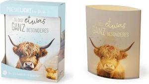 La Vida LED Nachtlicht Deko Lampe Leuchte Batterie Poesielicht für Dich la vida Geschenk, LED fest integriert