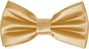 Ladeheid Kinderfliege Kinder Jungen Fliege - Vorgebunden Glänzende BKS (10cm x 5cm)