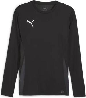 Langarmtrikot Puma TeamGoal