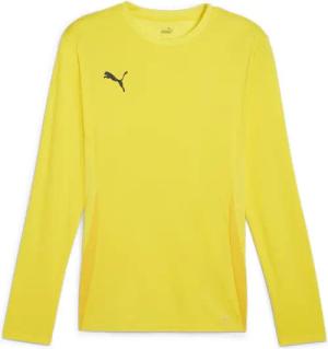 Langarmtrikot Puma TeamGoal