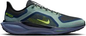Laufschuhe Nike Pegasus 41 Gore-Tex