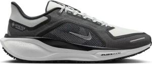 Laufschuhe Nike Pegasus 41 GORE-TEX