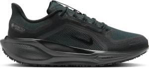 Laufschuhe Nike Pegasus 41 Gore-Tex