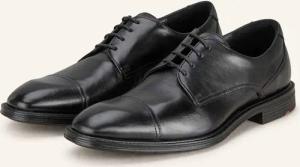 LLOYD Schnürer X-MOTION 150