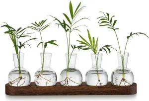 LuxusKollektion Glas Pflanzen Terrarium Glasvasen inkl. Holztablett Hydrokultur Deko Set