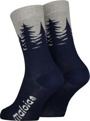 Maloja LabanM. Socken