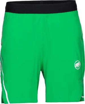 Mammut Herren Aenergy TR Shorts