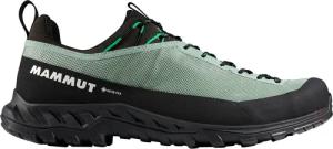 Mammut Herren Alnasca IV Low GTX Schuhe