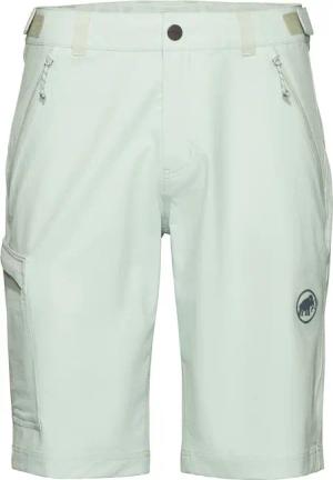 Mammut Herren Runbold IV Shorts